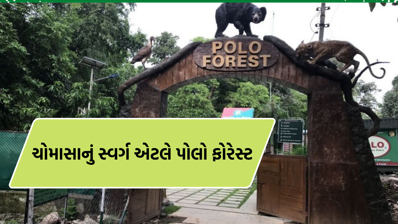 Poloforest_Gujarat_aapnucharotar