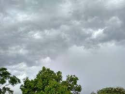 sudden weather change in gujarat