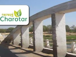 Bridge view in Charotar region, showcasing rural beauty and nature — best travel place in Charotar Gujarat.