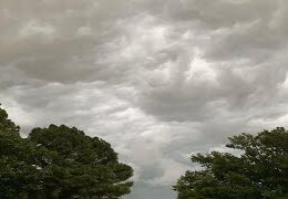 Dark rain clouds gathering above green trees in Charotar, Gujarat indicating rainy weather
